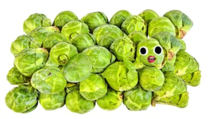 Brussels sprouts
