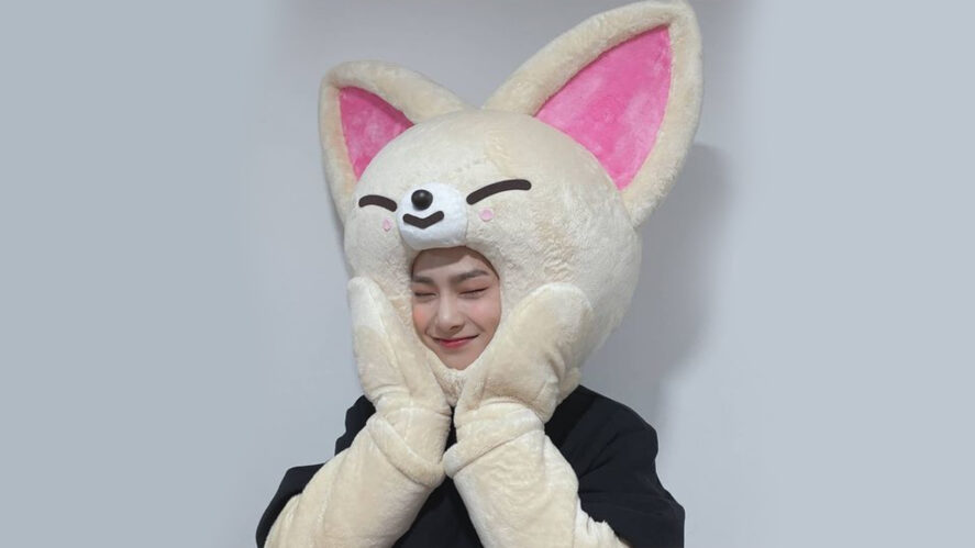 Stray Kids cat costume