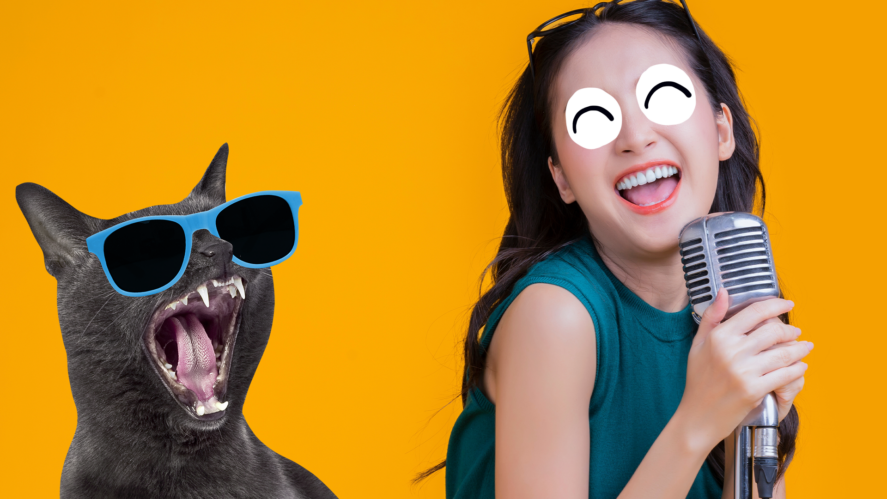 Singer and screaming Beano cat 