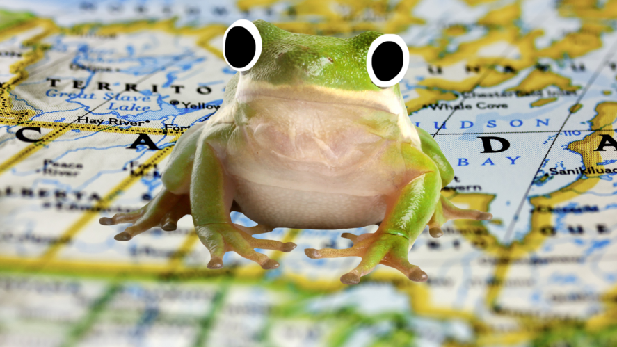 Beano frog on a map
